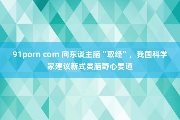 91porn com 向东谈主脑“取经”，我国科学家建议新式类脑野心要道