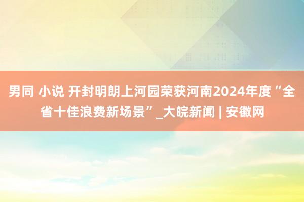 男同 小说 开封明朗上河园荣获河南2024年度“全省十佳浪费新场景”_大皖新闻 | 安徽网