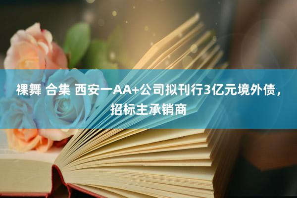 裸舞 合集 西安一AA+公司拟刊行3亿元境外债，招标主承销商