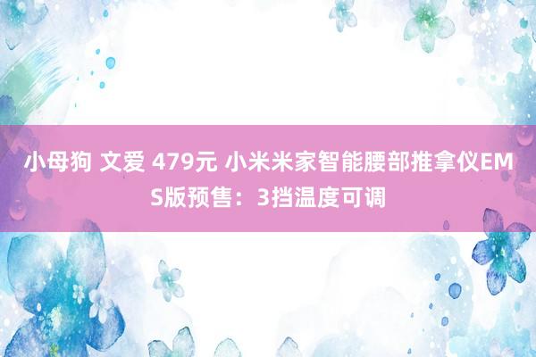 小母狗 文爱 479元 小米米家智能腰部推拿仪EMS版预售：3挡温度可调