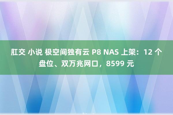 肛交 小说 极空间独有云 P8 NAS 上架：12 个盘位、双万兆网口，8599 元