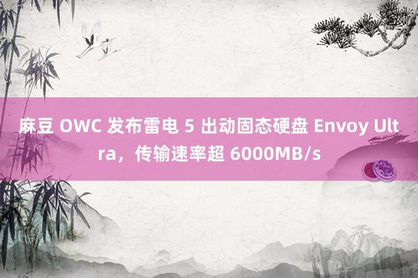 麻豆 OWC 发布雷电 5 出动固态硬盘 Envoy Ultra，传输速率超 6000MB/s