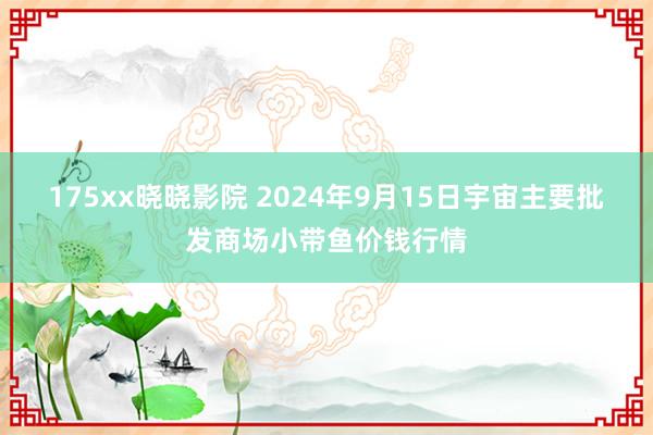 175xx晓晓影院 2024年9月15日宇宙主要批发商场小带鱼价钱行情