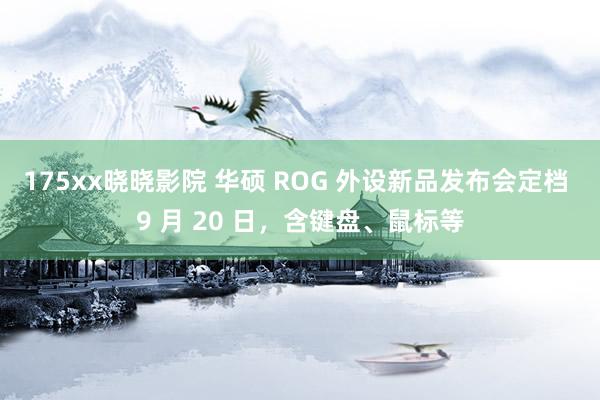 175xx晓晓影院 华硕 ROG 外设新品发布会定档 9 月 20 日，含键盘、鼠标等