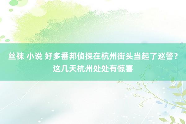 丝袜 小说 好多番邦侦探在杭州街头当起了巡警？这几天杭州处处有惊喜