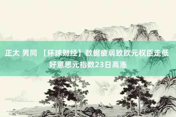 正太 男同 【环球财经】数据疲弱致欧元权臣走低 好意思元指数23日高涨