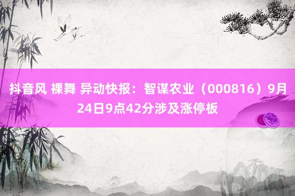 抖音风 裸舞 异动快报：智谋农业（000816）9月24日9点42分涉及涨停板