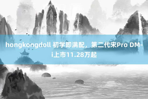 hongkongdoll 初学即满配，第二代宋Pro DM-i上市11.28万起