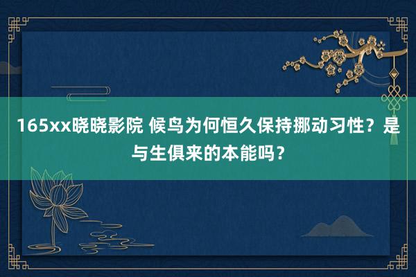 165xx晓晓影院 候鸟为何恒久保持挪动习性？是与生俱来的本能吗？