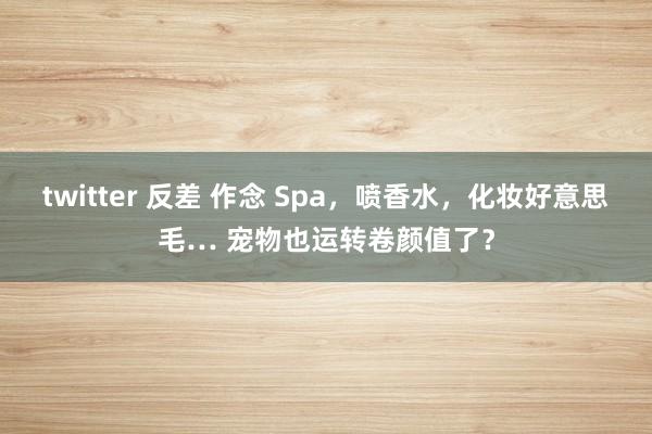 twitter 反差 作念 Spa，喷香水，化妆好意思毛… 宠物也运转卷颜值了？