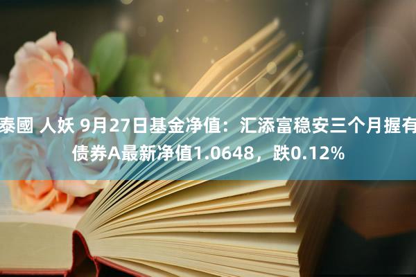 泰國 人妖 9月27日基金净值：汇添富稳安三个月握有债券A最新净值1.0648，跌0.12%