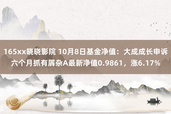 165xx晓晓影院 10月8日基金净值：大成成长申诉六个月抓有羼杂A最新净值0.9861，涨6.17%