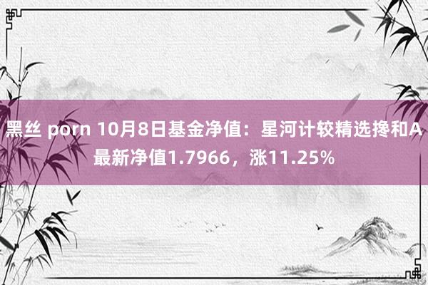 黑丝 porn 10月8日基金净值：星河计较精选搀和A最新净值1.7966，涨11.25%