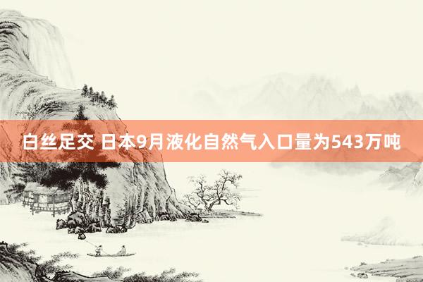 白丝足交 日本9月液化自然气入口量为543万吨