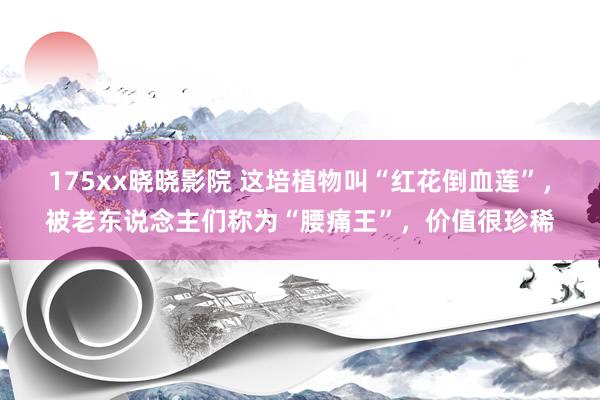 175xx晓晓影院 这培植物叫“红花倒血莲”，被老东说念主们称为“腰痛王”，价值很珍稀