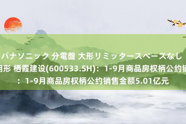 パナソニック 分電盤 大形リミッタースペースなし 露出・半埋込両用形 栖霞建设(600533.SH)：1-9月商品房权柄公约销售金额5.01亿元