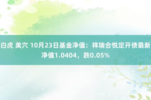 白虎 美穴 10月23日基金净值：祥瑞合悦定开债最新净值1.0404，跌0.05%