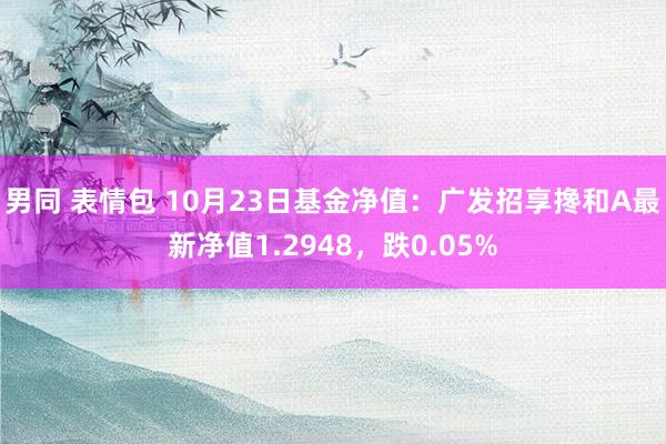 男同 表情包 10月23日基金净值：广发招享搀和A最新净值1.2948，跌0.05%