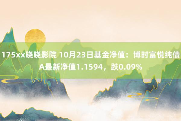 175xx晓晓影院 10月23日基金净值：博时富悦纯债A最新净值1.1594，跌0.09%