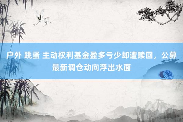 户外 跳蛋 主动权利基金盈多亏少却遭赎回，公募最新调仓动向浮出水面