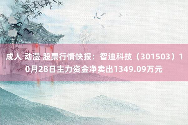 成人 动漫 股票行情快报：智迪科技（301503）10月28日主力资金净卖出1349.09万元