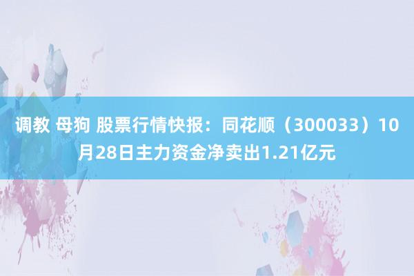 调教 母狗 股票行情快报：同花顺（300033）10月28日主力资金净卖出1.21亿元