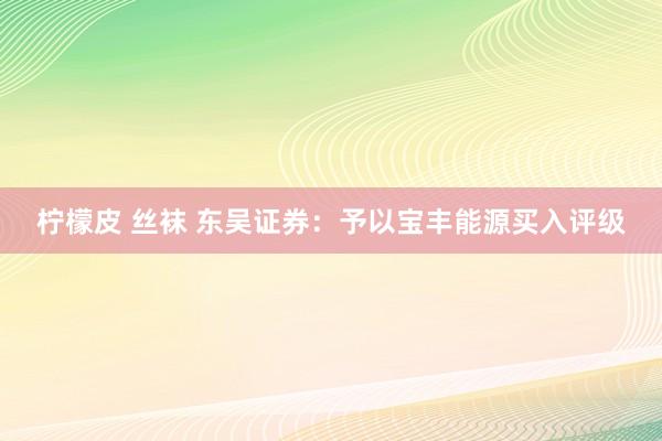 柠檬皮 丝袜 东吴证券：予以宝丰能源买入评级