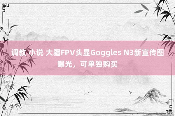 调教 小说 大疆FPV头显Goggles N3新宣传图曝光，可单独购买