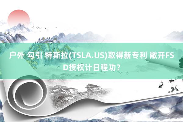 户外 勾引 特斯拉(TSLA.US)取得新专利 敞开FSD授权计日程功？