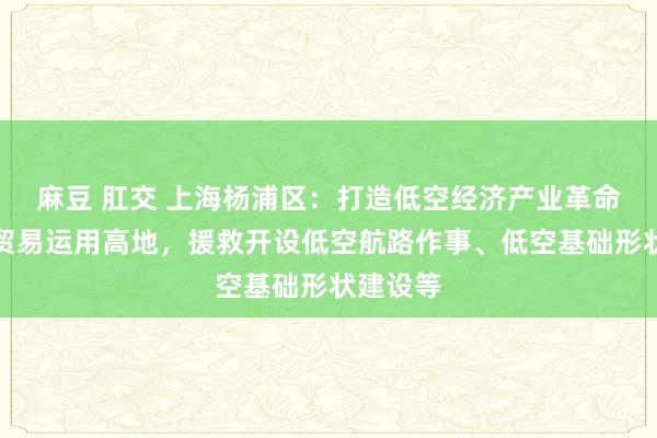 麻豆 肛交 上海杨浦区：打造低空经济产业革命高地和贸易运用高地，援救开设低空航路作事、低空基础形状建设等