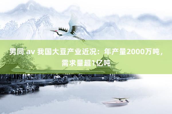 男同 av 我国大豆产业近况：年产量2000万吨，需求量超1亿吨