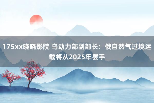 175xx晓晓影院 乌动力部副部长：俄自然气过境运载将从2025年罢手