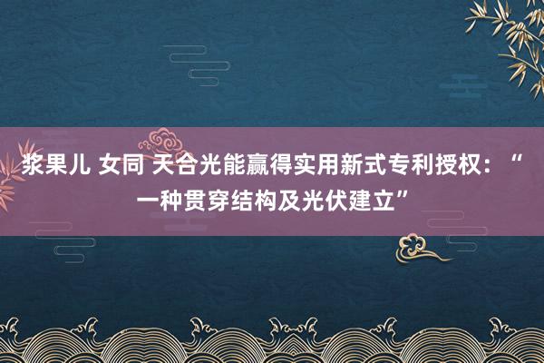 浆果儿 女同 天合光能赢得实用新式专利授权：“一种贯穿结构及光伏建立”