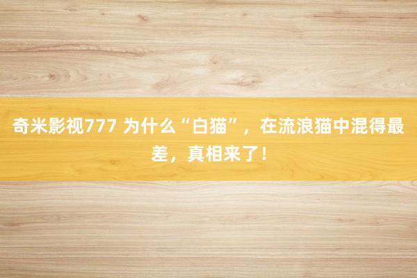 奇米影视777 为什么“白猫”，在流浪猫中混得最差，真相来了！