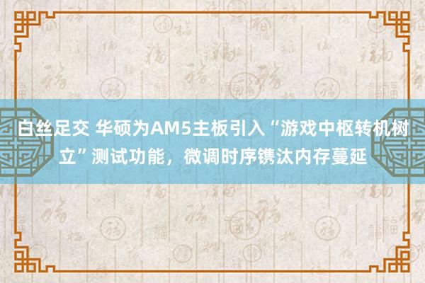 白丝足交 华硕为AM5主板引入“游戏中枢转机树立”测试功能，微调时序镌汰内存蔓延