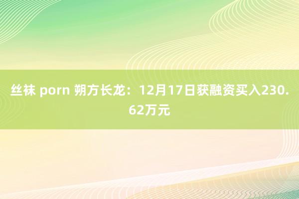 丝袜 porn 朔方长龙：12月17日获融资买入230.62万元