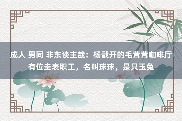 成人 男同 非东谈主哉：杨戬开的毛茸茸咖啡厅有位圭表职工，名叫球球，是只玉兔