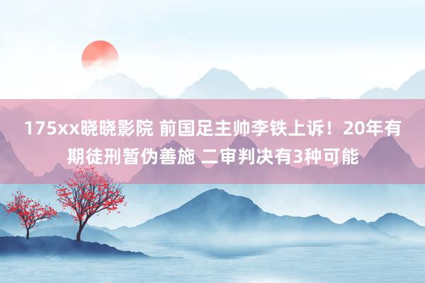 175xx晓晓影院 前国足主帅李铁上诉！20年有期徒刑暂伪善施 二审判决有3种可能