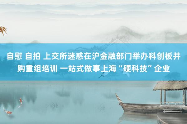 自慰 自拍 上交所迷惑在沪金融部门举办科创板并购重组培训 一站式做事上海“硬科技”企业