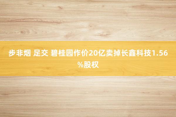 步非烟 足交 碧桂园作价20亿卖掉长鑫科技1.56%股权