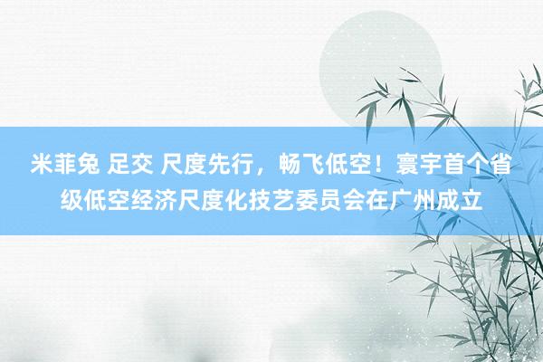 米菲兔 足交 尺度先行，畅飞低空！寰宇首个省级低空经济尺度化技艺委员会在广州成立