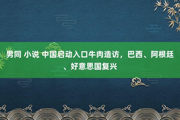 男同 小说 中国启动入口牛肉造访，巴西、阿根廷、好意思国复兴