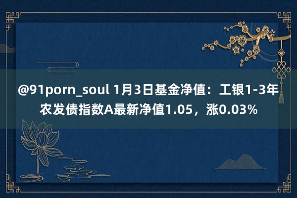 @91porn_soul 1月3日基金净值：工银1-3年农发债指数A最新净值1.05，涨0.03%