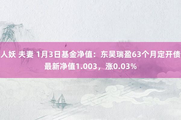 人妖 夫妻 1月3日基金净值：东吴瑞盈63个月定开债最新净值1.003，涨0.03%