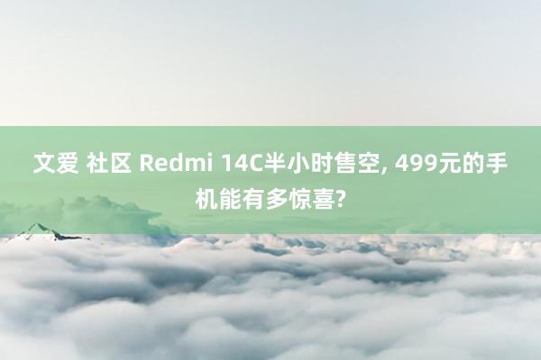 文爱 社区 Redmi 14C半小时售空， 499元的手机能有多惊喜?