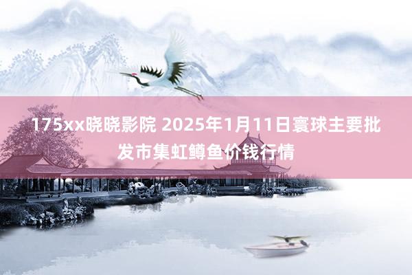 175xx晓晓影院 2025年1月11日寰球主要批发市集虹鳟鱼价钱行情