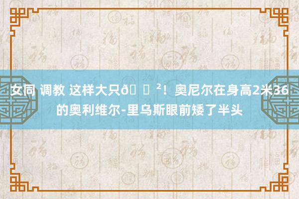 女同 调教 这样大只😲！奥尼尔在身高2米36的奥利维尔-里乌斯眼前矮了半头