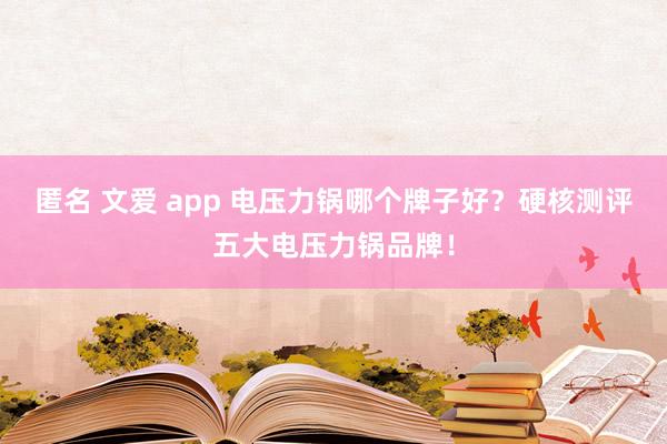 匿名 文爱 app 电压力锅哪个牌子好？硬核测评五大电压力锅品牌！