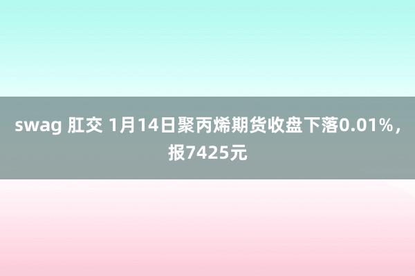 swag 肛交 1月14日聚丙烯期货收盘下落0.01%，报7425元