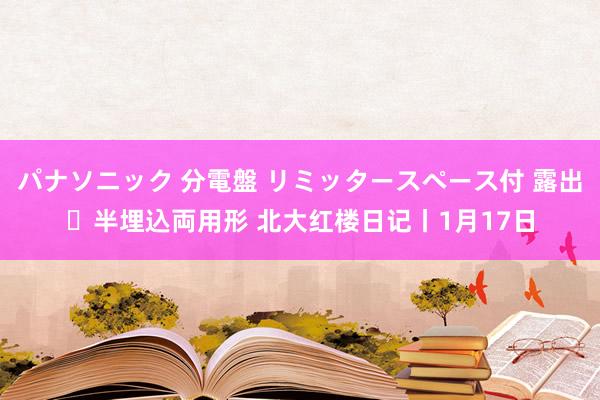 パナソニック 分電盤 リミッタースペース付 露出・半埋込両用形 北大红楼日记丨1月17日